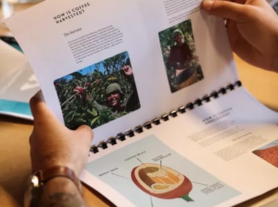 visual coffee fundamentals